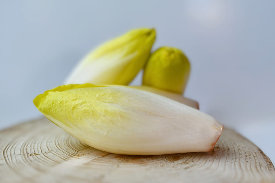 Chicory - Frescura