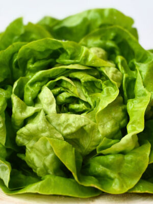 Kropsla