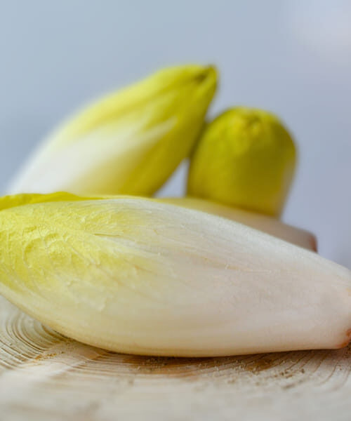Witloof